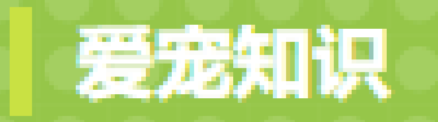 68325628130